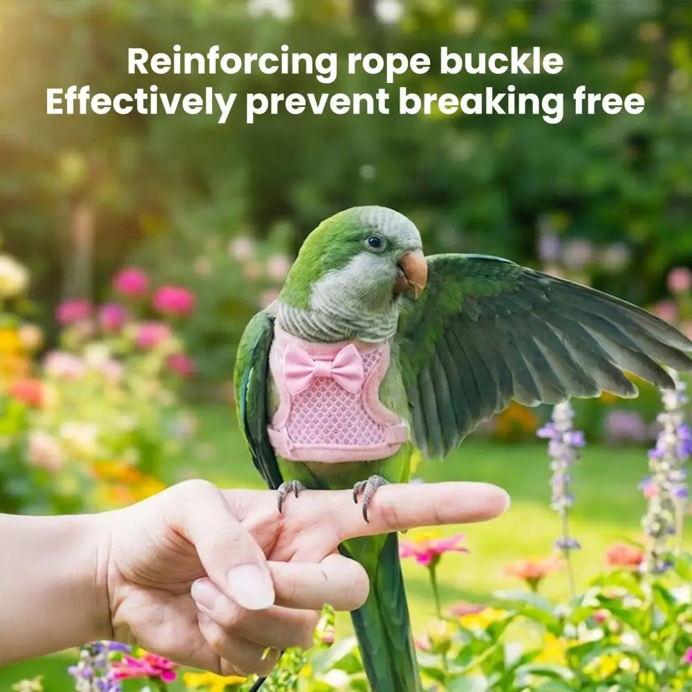 Bird Harness And 2m Leash, Parrot Harness Vest Breathable Mesh, Escape Resistant Chest Wrap for Outdoor Flying Training