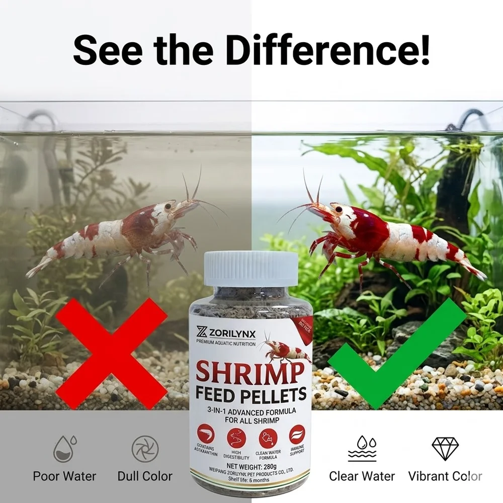 Nährstoffreiches Garnelenfutter Sinkende Pellets Hochprotein Calciumreiches Futter für Kristallrote Kirschgarnelen Aquarium ZORILYNX – Detail 3