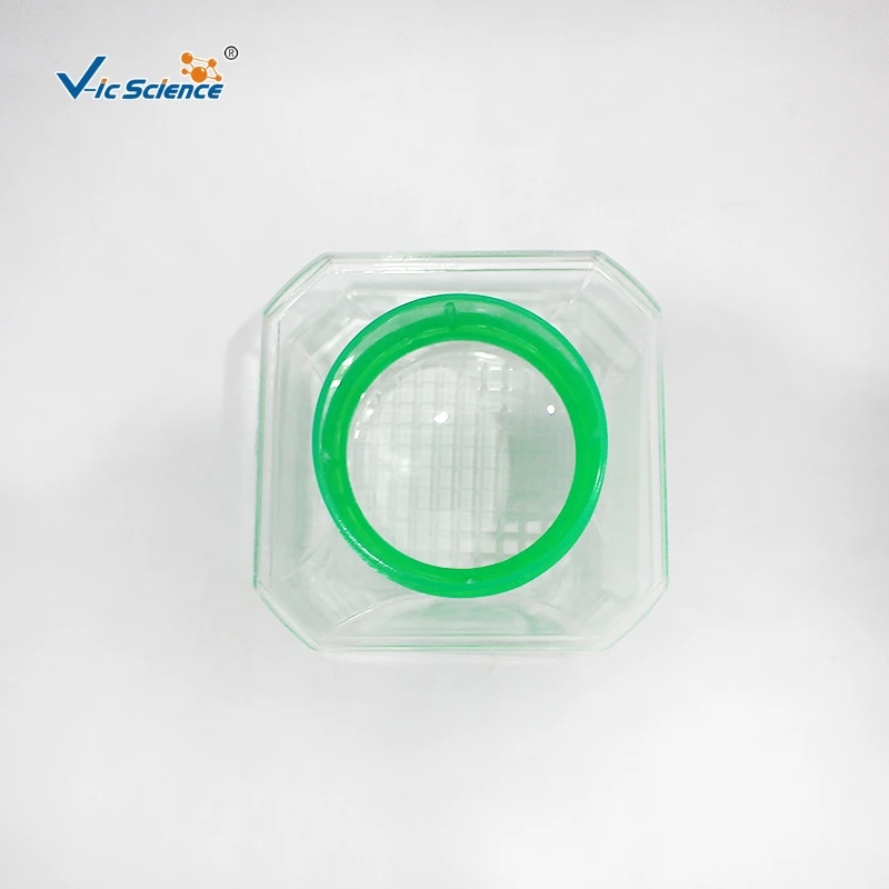 Insect box insect observation box magnifying glass 3 times primary school science insect collection breeding observation box