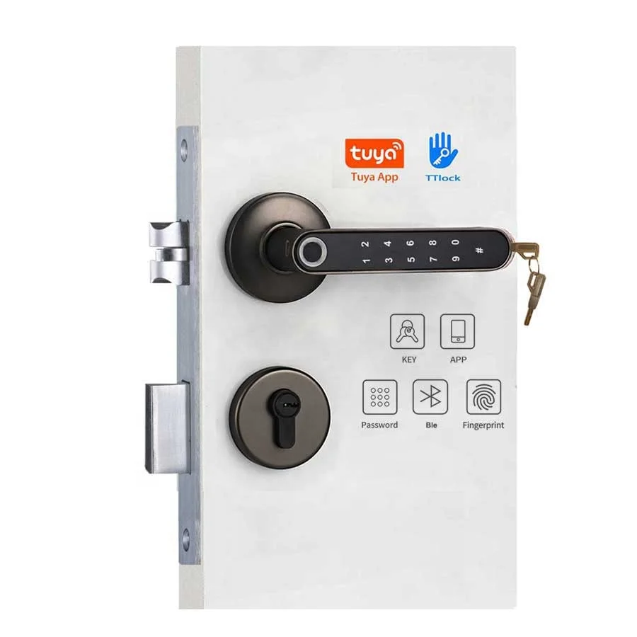 Smart biometric fingerprint door locks are also called electronic lever hand-held locks for hotels