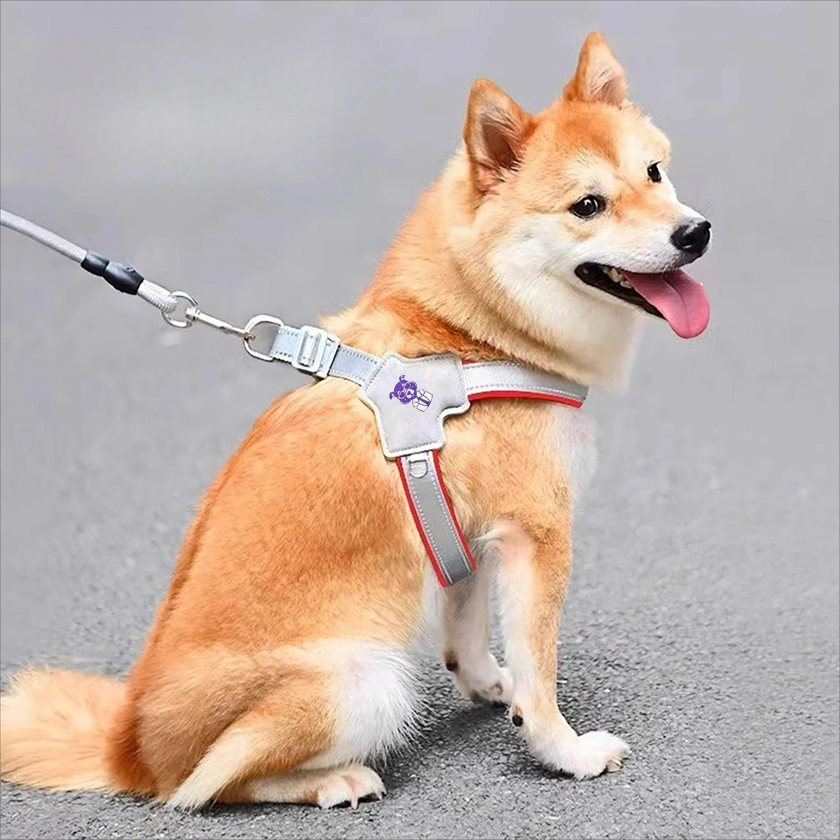 

New Reflective Pet Dog Harness for Small Medium Dogs Cat No Pull Vest Harnesses Puppy Chest Strap Pug Chihuahua Bulldog Supplies