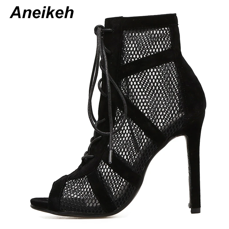 Aneikeh 2024 Fashion Basic Dancing Sandals Sexy Hollow Out Mesh Lace-Up Cross-tied ANKLE BootsWomen High Heels Pumps Party Shoes