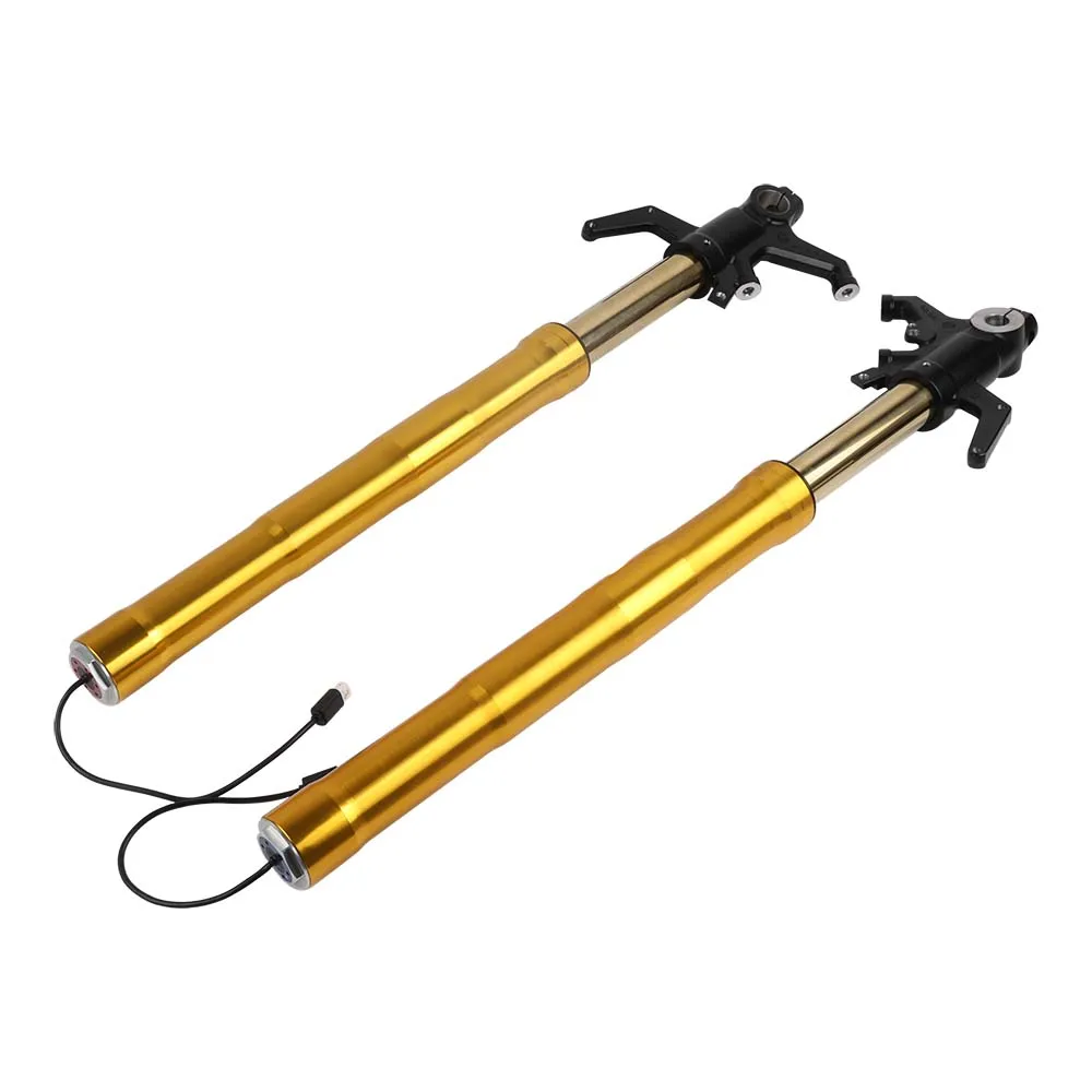 Motorcycle Accessories Front fork parts Motorcycle front shock absorber Suspension Front fork parts for AK550 CK600T-10