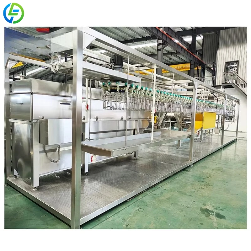 Customized Full Automatic Chicken Slaughter Line High Capacity Poultry Slaughtering Equipment Line For Poultry Processing Plant