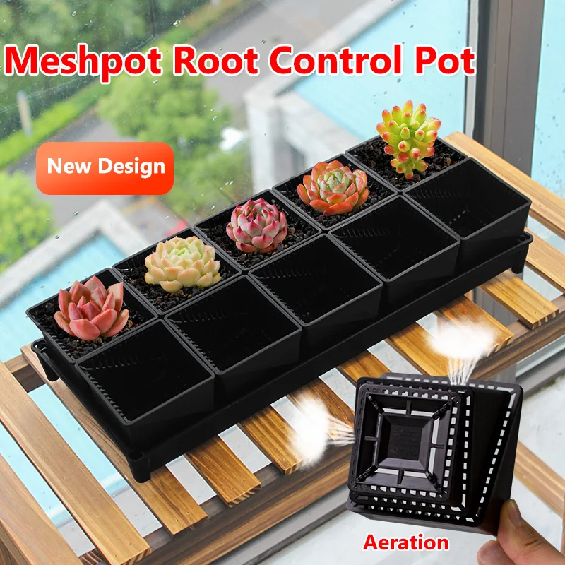 

Meshpot Black Square Cactus Pot with aeration hole garden accessories Succulent Nursery Pots Planter for Home Decoration