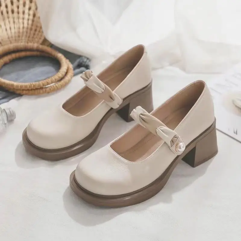 2026 New Women Mary Janes Fairy Style Chunky Heel Shallow Mouth Leather Shoes Spring Autumn Influencer Pumps