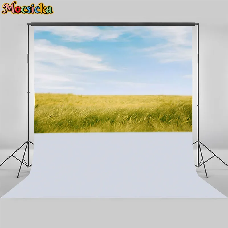 

Mocsicka Vintage Scenery Oil Painting Photography Background Baby Art Portrait Adult Photo Backdrop Wedding Studio Banner