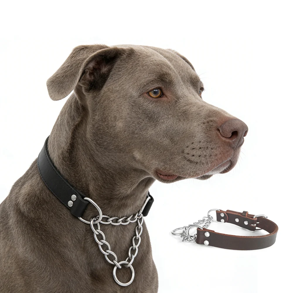 

Martingale Dog Collar Stainless Steel Training Collar Limited Chain Cinch Training Genuine Leather Collar for Rottweiler Pitbull