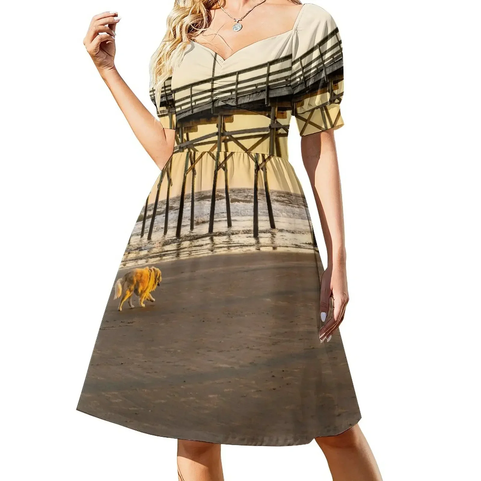 

Golden Retriever at Beach Short-Sleeved Dress Women's dress dress korean style