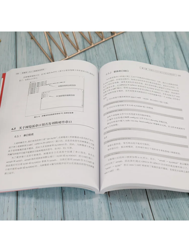 Book-Winshare Raspberry Pi 4 und praktisches Projekt mit künstlicher Intelligenz