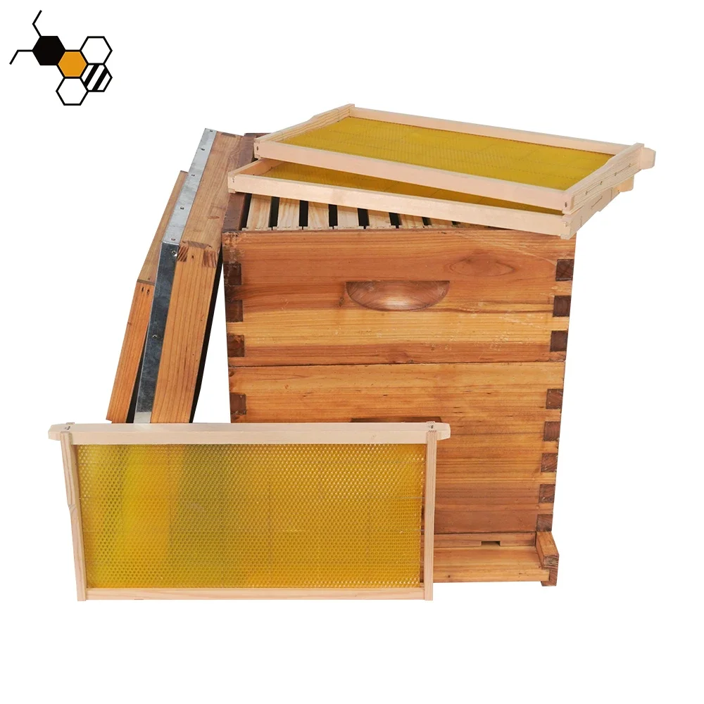 Wooden Beekeeping Equipment-Langstroth Beehive Boxes Caja de Abejas for Animal Husbandry