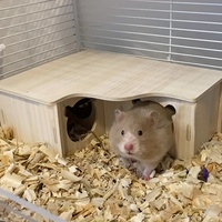 1 Piece of All Natural Products, Accessories, Colors and Styles, Random Hamster Swing, Seesaw Nest, Solid Wood Small House, Hamster Sleeping Nest, Golden Bear, Small House Toys and Supplies