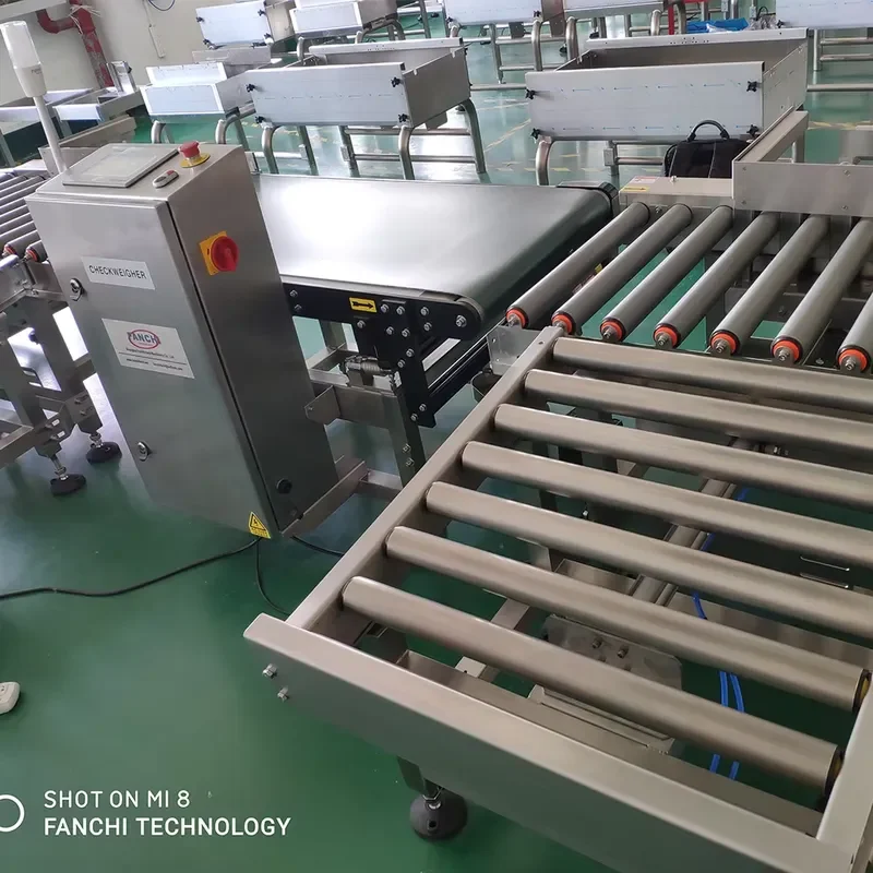 Automatic Inline High Load Checkweigher for Large Cases and Cartons up to 60kg