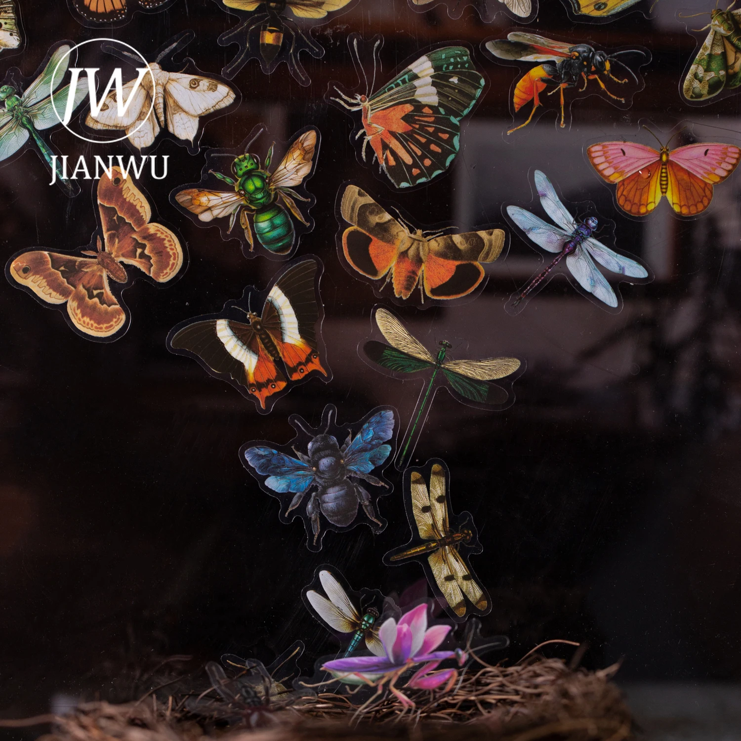 Jianwu Insect Speci… - image