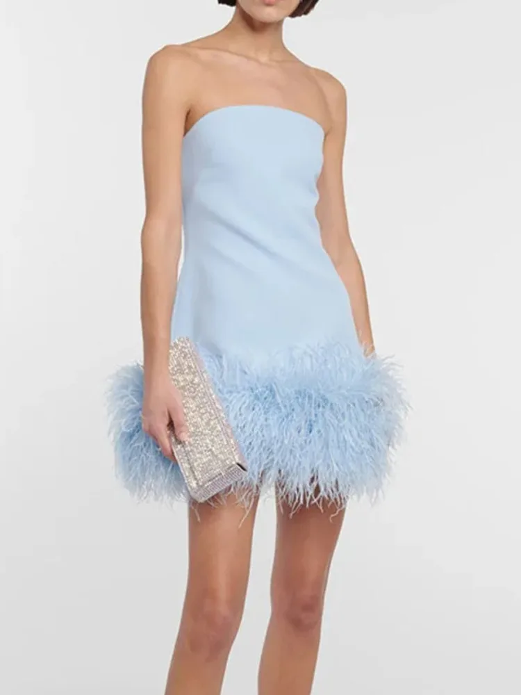 

Elegant Strapless Feather Backless Bodycon Dress | Sexy Jazz Dancewear for Performance & Stage Sexy Urban Music Samba Dress