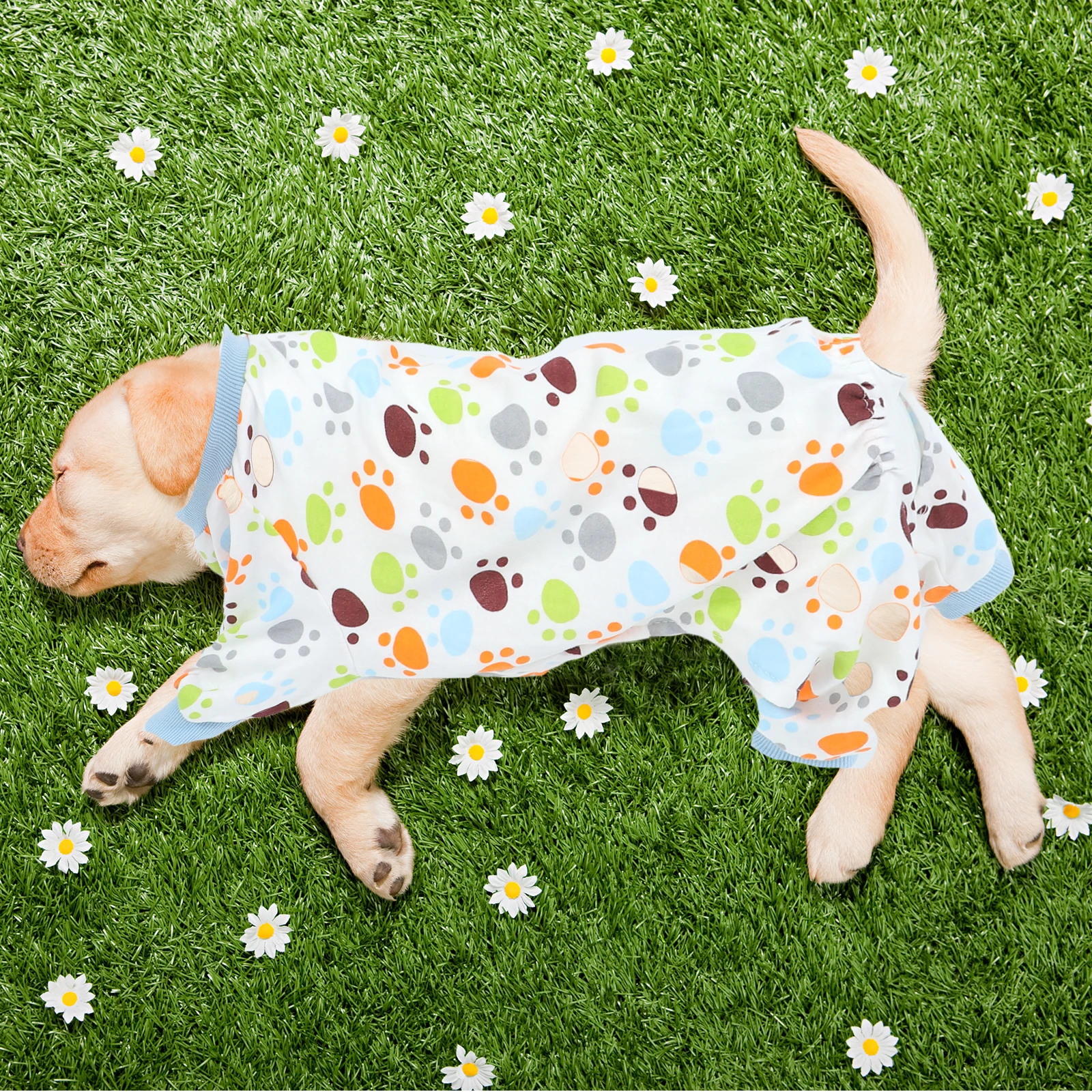 

Puppy Coats for Small Dogs Pet Pajamas Cotton Sleepwear Night Clothes Jumpsuits Vacation