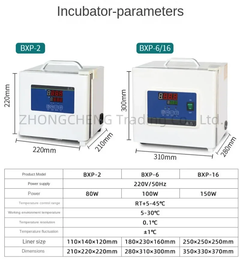 Incubadora portátil BXP-16, 220V, 150W, eléctrica, temperatura constante, número de incubadora microbiana y bacteriana, laboratorio