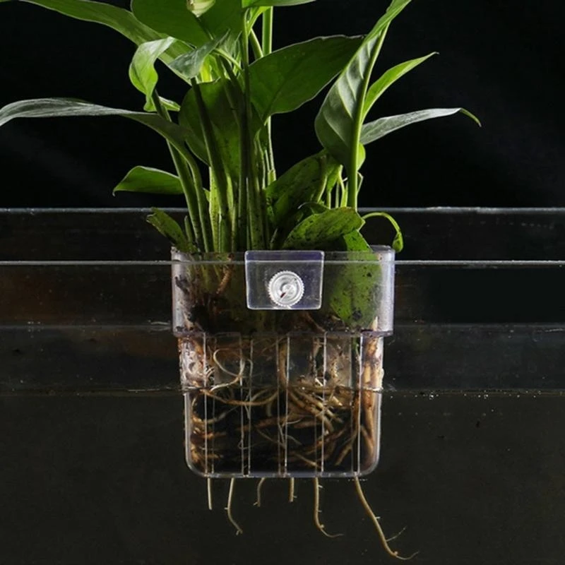 Tanques água Planta paisagem vidro hidropônico vidro cultivação rack rack esteira tanques peixe tanques