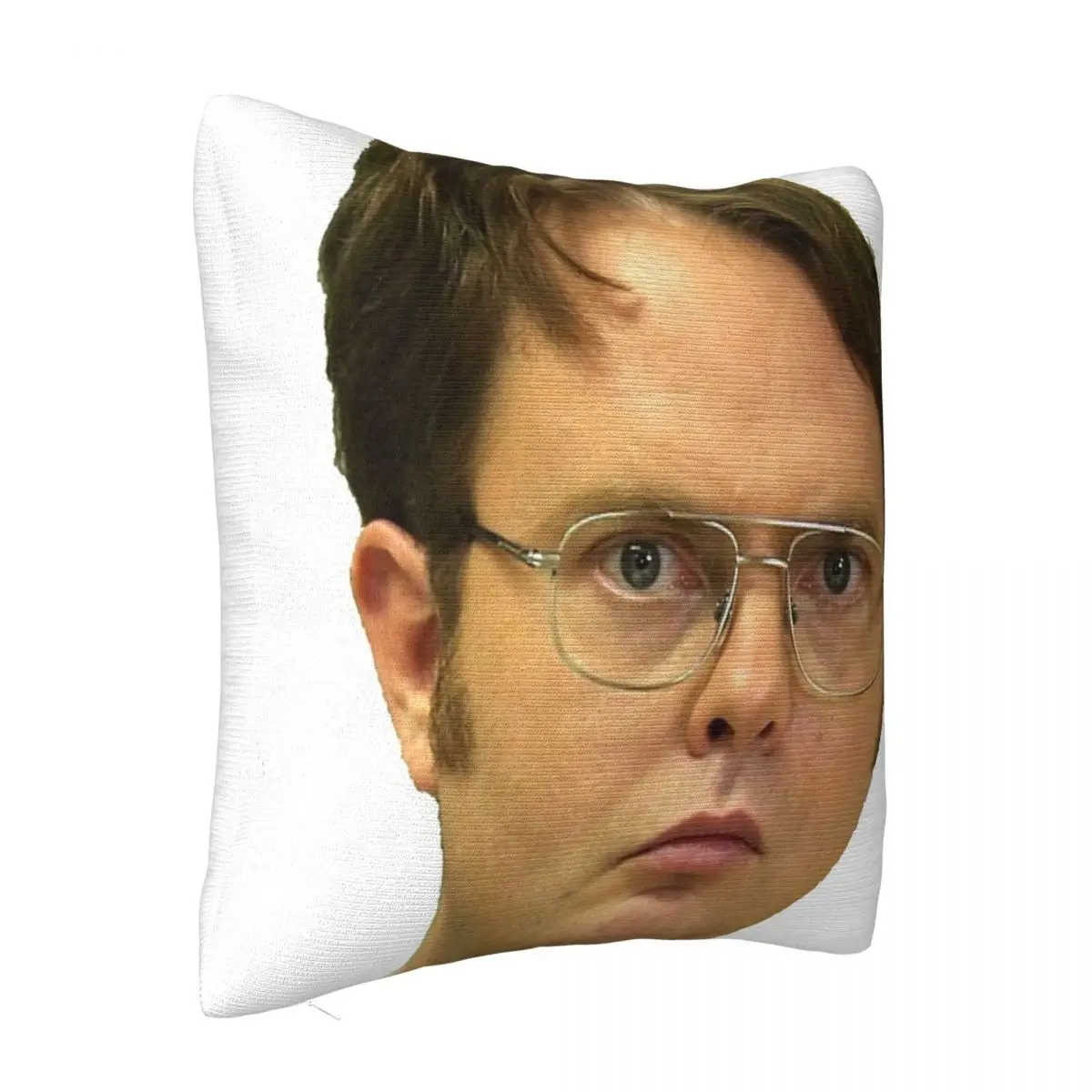 Dwight K Schrute Pillows Dakimakura Cover Room Decorating Items Pillow Case Pillow Cover