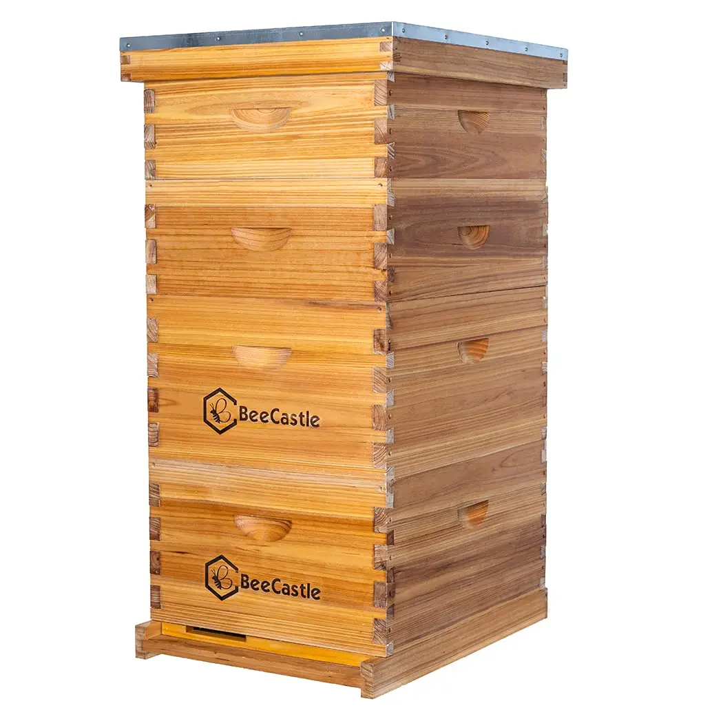 10 Frame Langstroth Bee Hive Coated with 100% Beeswax Includes Beehive Frames and Waxed Foundations (2 Deep Boxes & 2 Medium Box