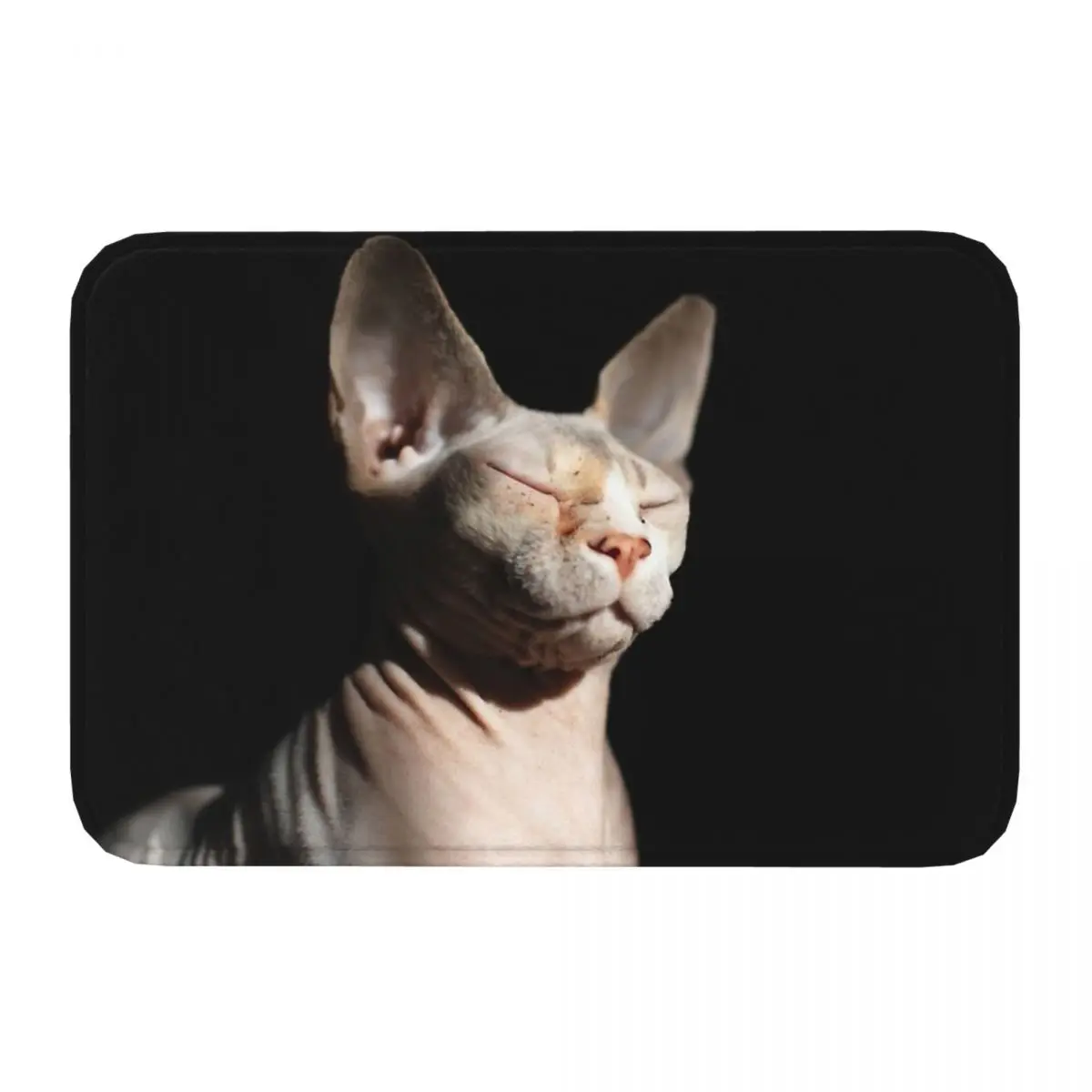 Sphynx Hairless Cat Non-slip Doormat Bath Mat Sphynx Cat Floor Carpet Welcome Rug Indoor Decorative