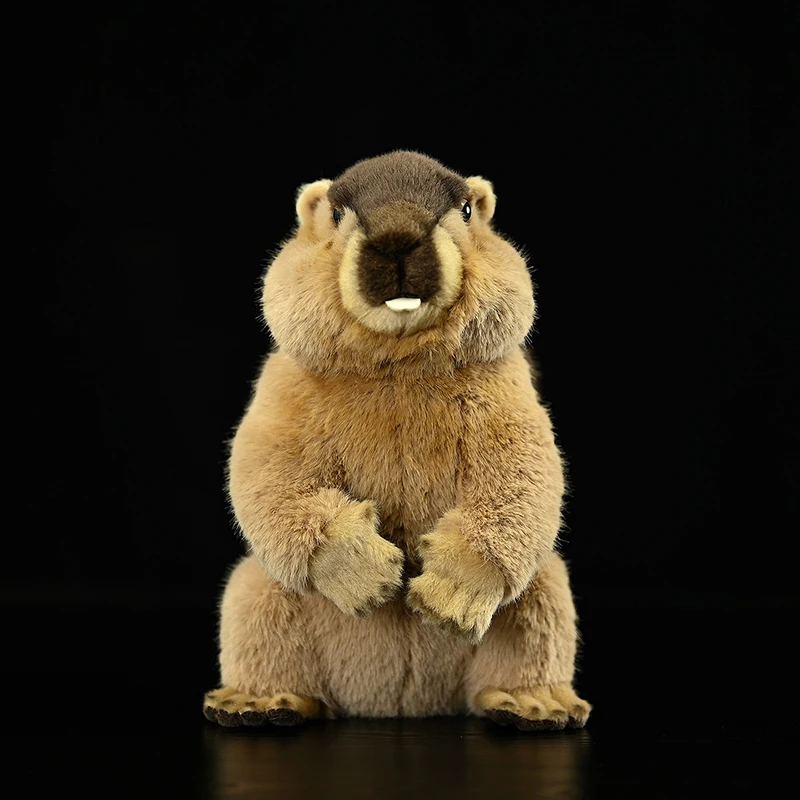Cute Marmots Plush Toy High-Quality Marmota Realistic Soft Simulation Stuffed Doll Lifelike Animals Model Kid Gift