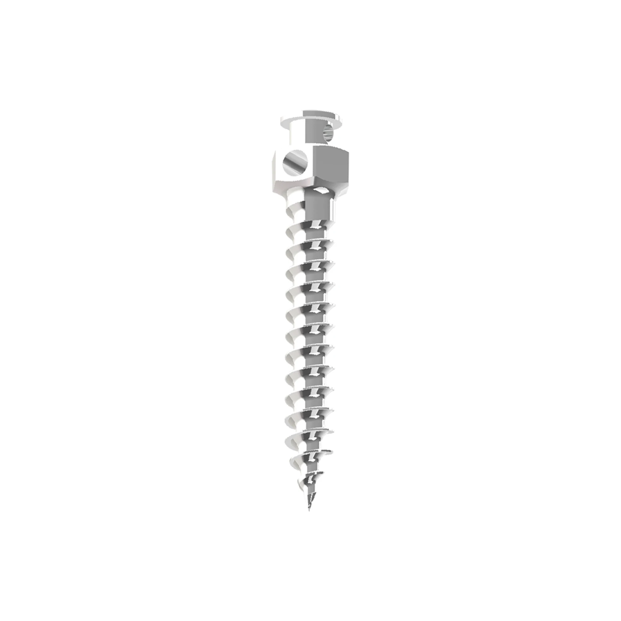Thumbnail 2 - #2 New Orthodontic Supplies Arrivals