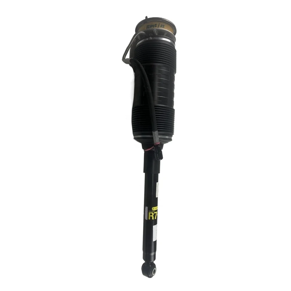 2213209013Manufacture Wholesale Shock Absorber Car Right Rear Body Control Strut Shock For Benz C216 CL600 W221 S300 350 400L