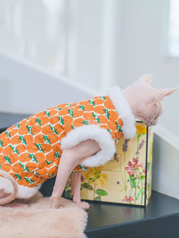 Abrigo de algodón suave con piel para gato Sphynx, sudadera naranja para gatitos, Mangas de disfraz dulces para gatos femeninos en invierno