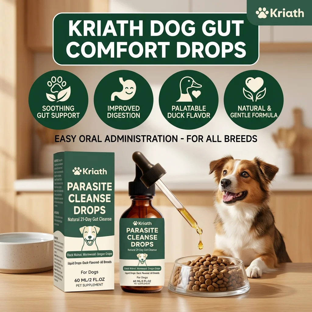Dog Gut Cleanse Liquid Soothe & Protect Canine Stomach Support Immunity Promote Digestion Herbal Dog Intestinal Oral Supplement