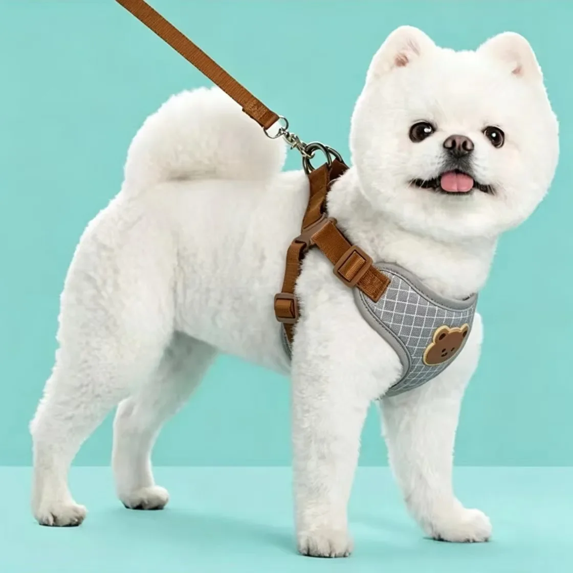 Hundegeschirr-Leinen-Set für kleine und mittelgroße Hunde und Katzen, atmungsaktives Welpen-Brustgeschirr, Französische Bulldogge, Chihuahua-Geschirr, Haustierzubehör – Detail 13