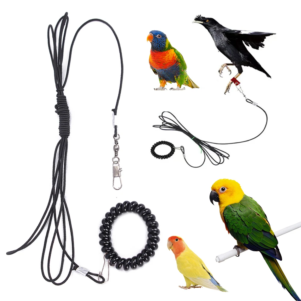 Bird Training Rope Bird Foot Chain Release Parrot Rope Outdoor Flying Rope Bird Walking Tool Not Hurt Feet Bird Accessories