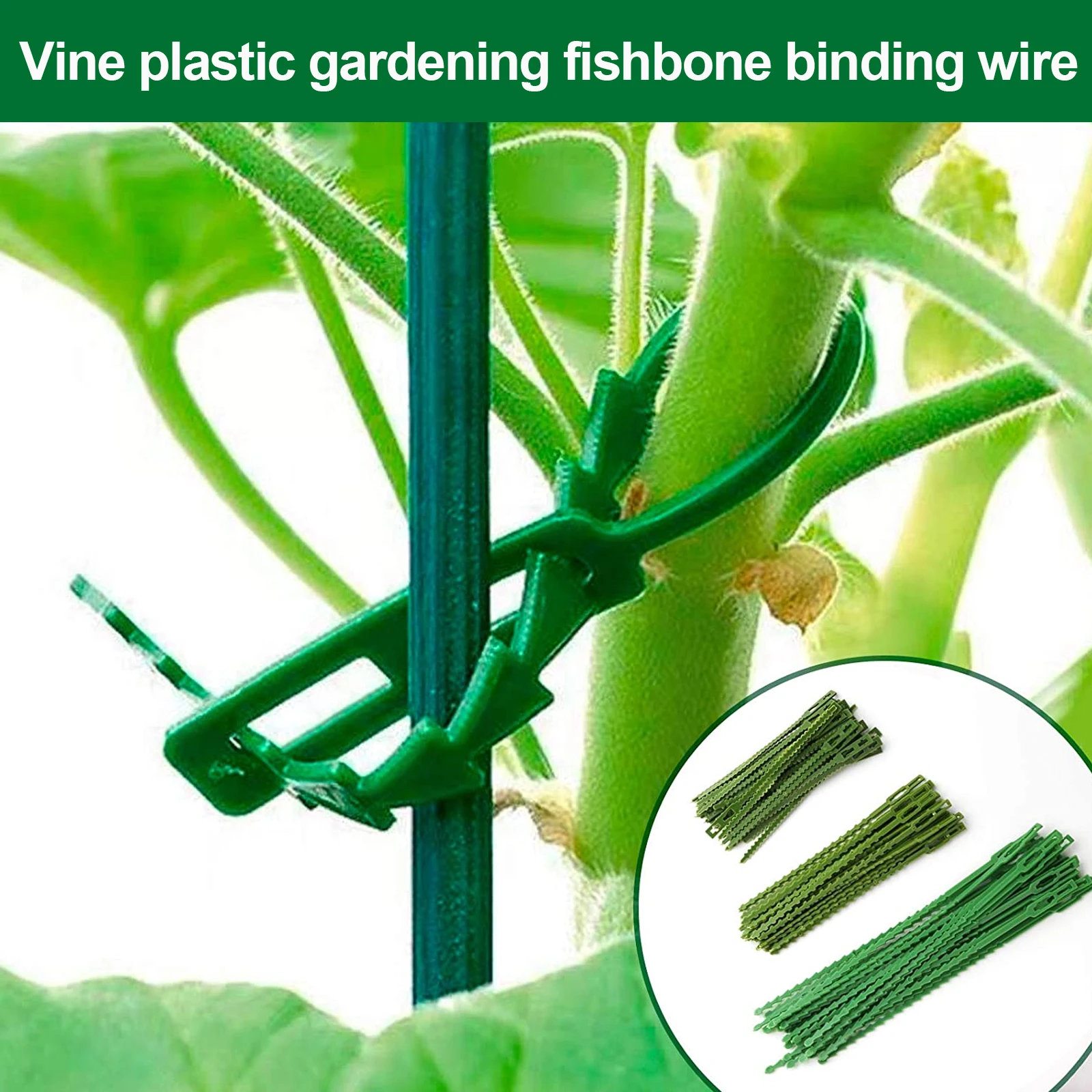 

Adjustable Plant Tie Plastic Cable Tie Set 30PCS Flexible Plant Straps for Green Plant Support in Garden Tree