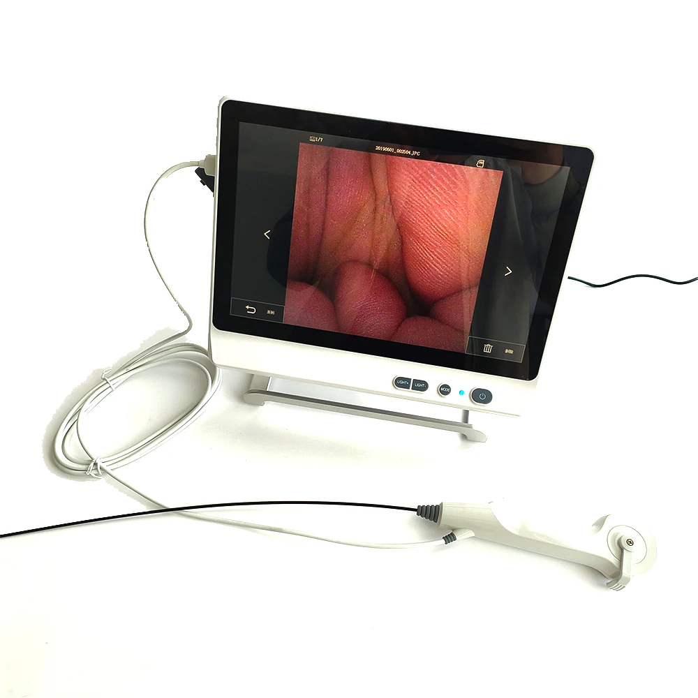 12.1 Inch Screen Medical Veterinary Endoscope Flexible Cystoscope Ureteroscope Gastroscope for Vet Clinic Hospital Animals