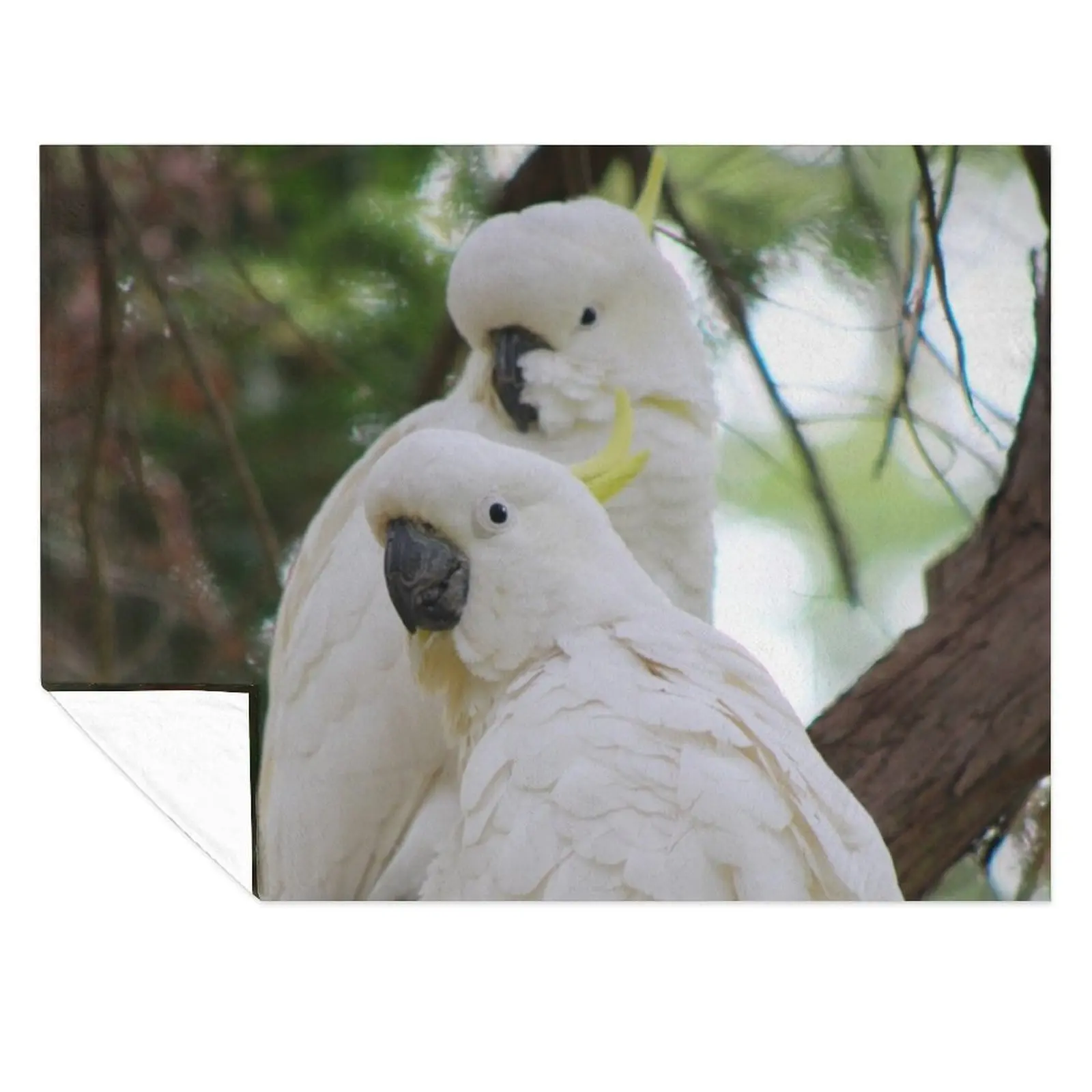 

Sulphur Crested Cockatoos in Sydney Throw Blanket Baby Thin Flannel Fabric Blankets