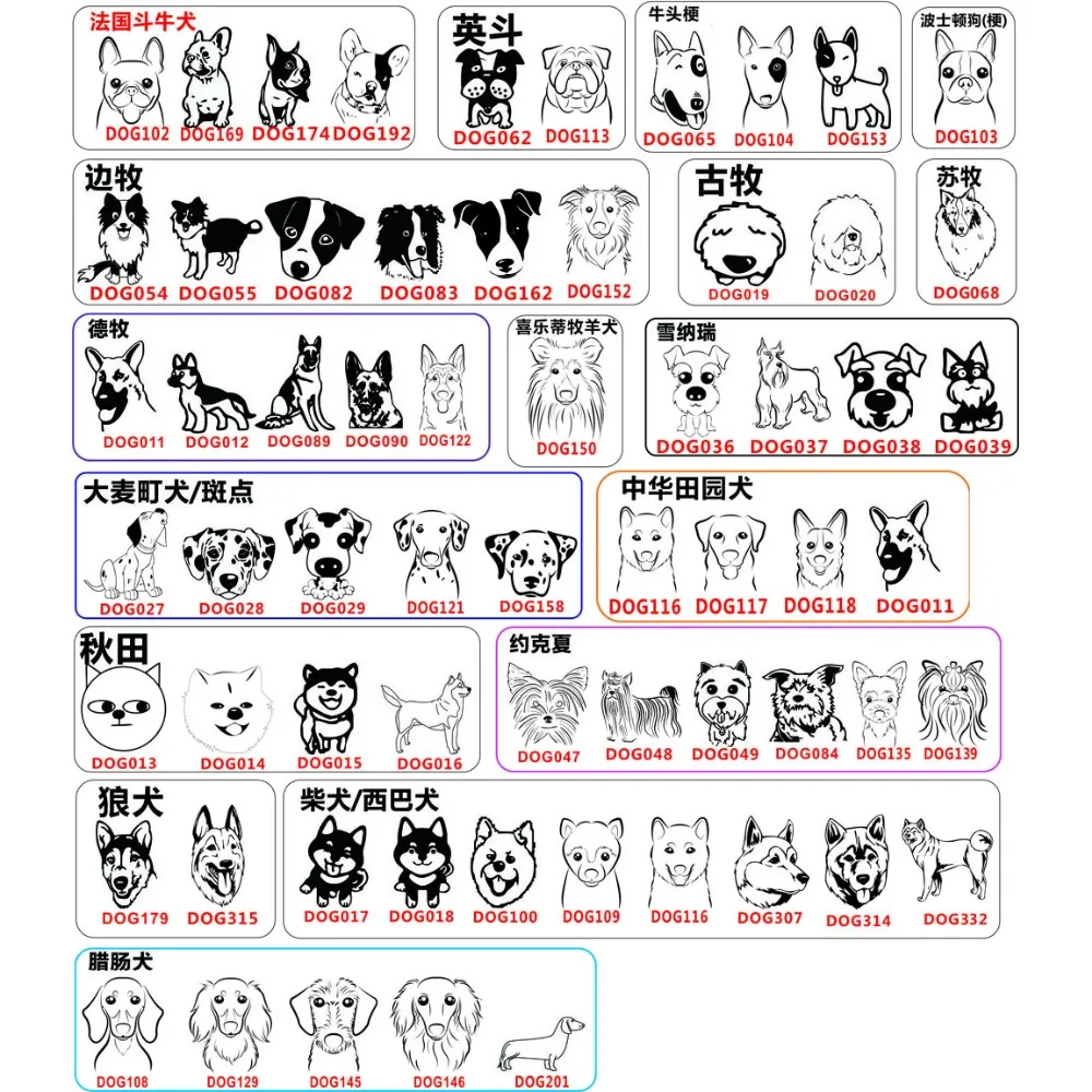 Étiquettes d\'identification de chien personnalisées en forme de Sophia, nom d\'animal de compagnie, collier, chaton, chiot, colliers, accessoires de