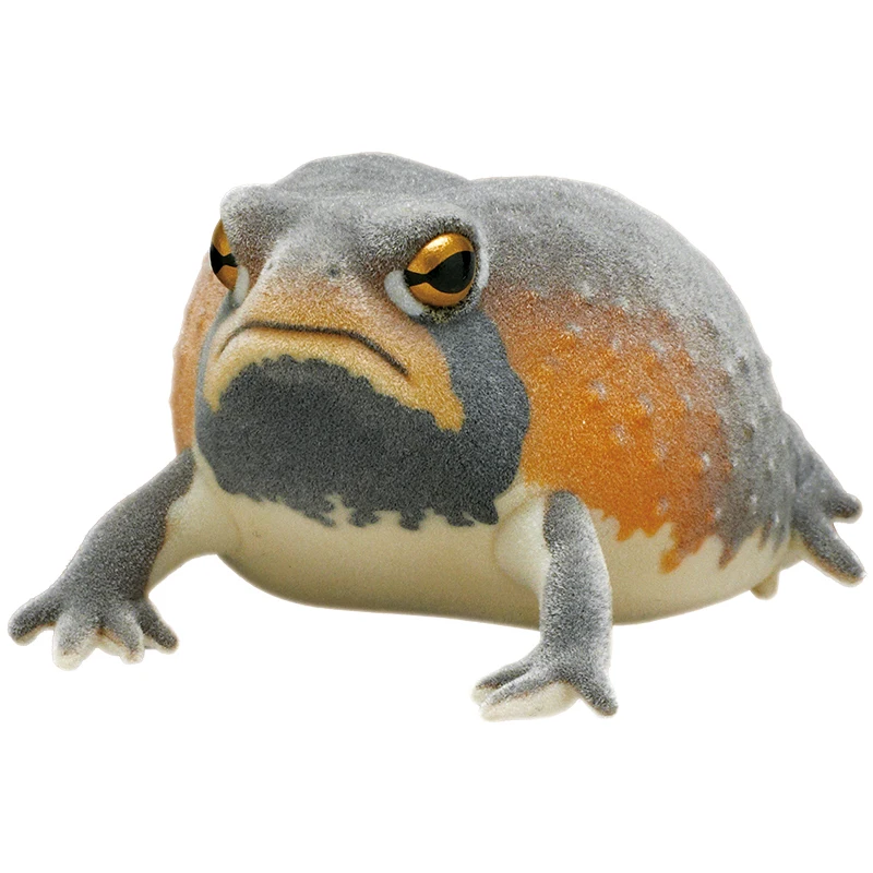 Round Rain Frog American Frog Palm Amphibian Figures Ikimon Capsule Toys Kawaii Nature Techni Color Flocky Tsuchimamireno Gifts