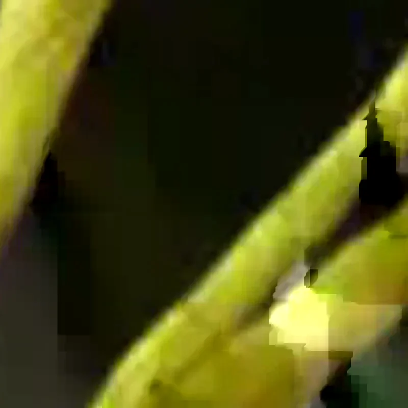 قلم تحديد العيون الأسود المقاوم للماء من بي سيمون، سريع الجفاف، يدوم طويلاً، غير لامع، سهل التلوين، قلم تحديد العيون السائل، مستحضرات تجميل