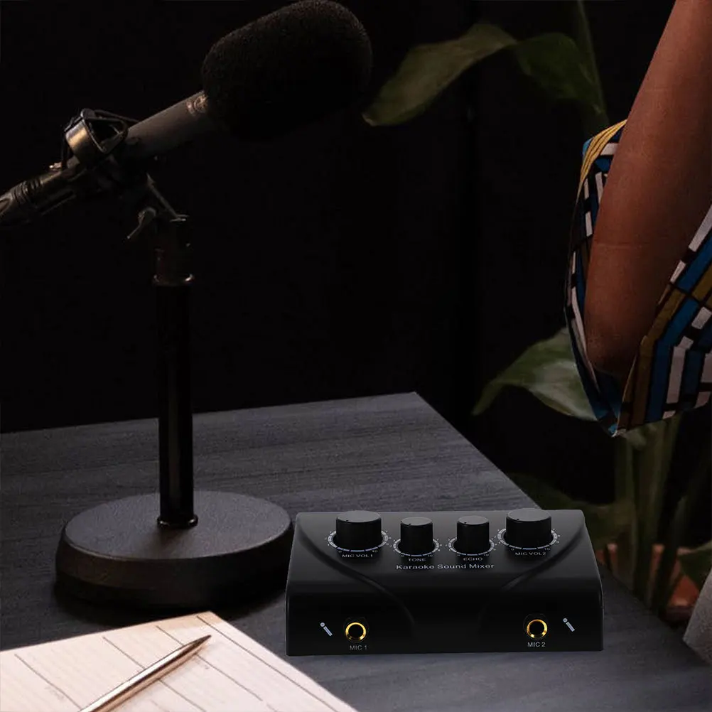 1 مجموعة منخفضة الضوضاء للغاية كاريوكي جهاز مزج الصوت المزدوج هيئة التصنيع العسكري المدخلات التحكم للمنزل مرحلة الحفلات Ktv استخدام الاتحاد الأوروبي التوصيل Abs النحاس