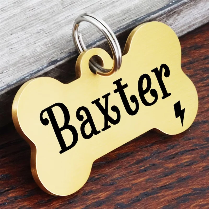 Personalisierte Haustier-ID-Tags für Hunde, Namensschild mit Gravur, anpassbare Halskette für Kätzchen und Welpen, Zubehör mit Kette – Detail 7
