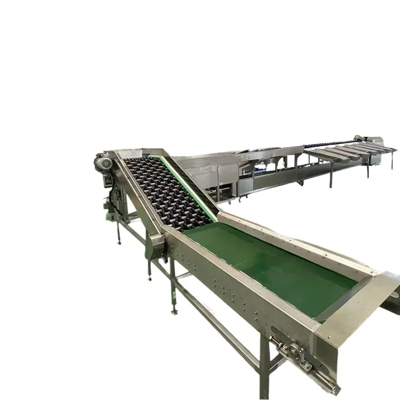 Smistatrice intelligente per frutta