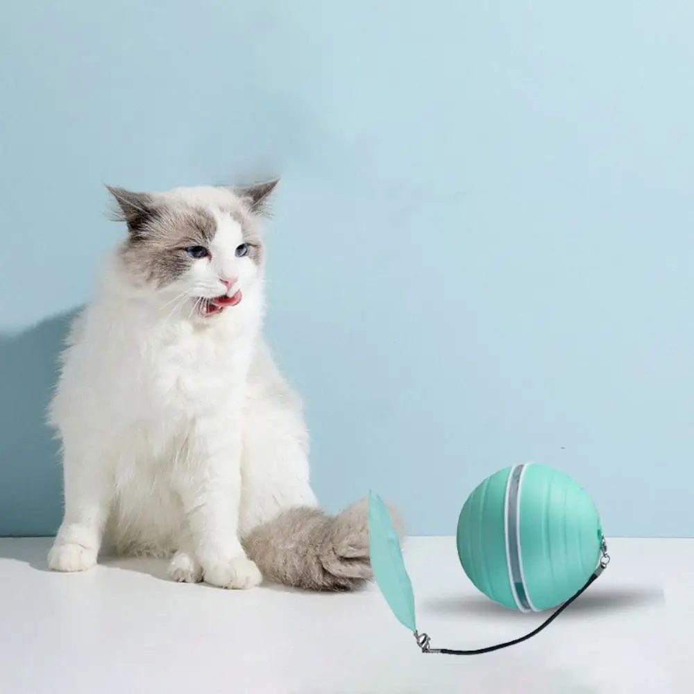 

Automatic Interactive Cat Ball Toy with Feather and Light Rechargeable Cat Interactive Ball Smart Self Moving