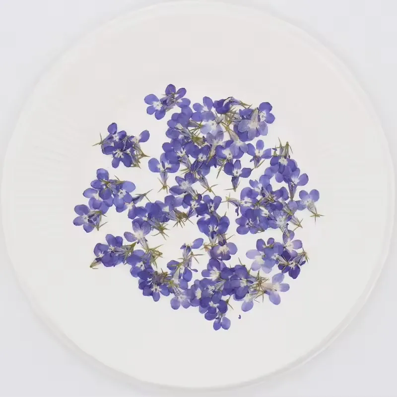 120 Stück/1,5 cm, natürliche kleine Blumen-Tropfen-Kleberaufkleber für Handyhüllen, Lesezeichen, Fotorahmen, Dekoration, Schönheits- und Nagelverzierungsmaterial, Herbstdeko – Detail 5