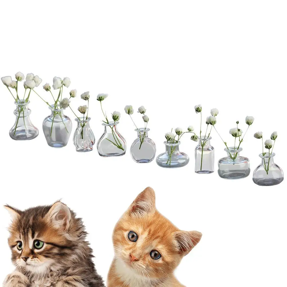 2 PCS Cat Whisker Vase Mini Vase For Cat Whiskers Miniature Vase Tiny Vase For Decor Cat Whisker Holder