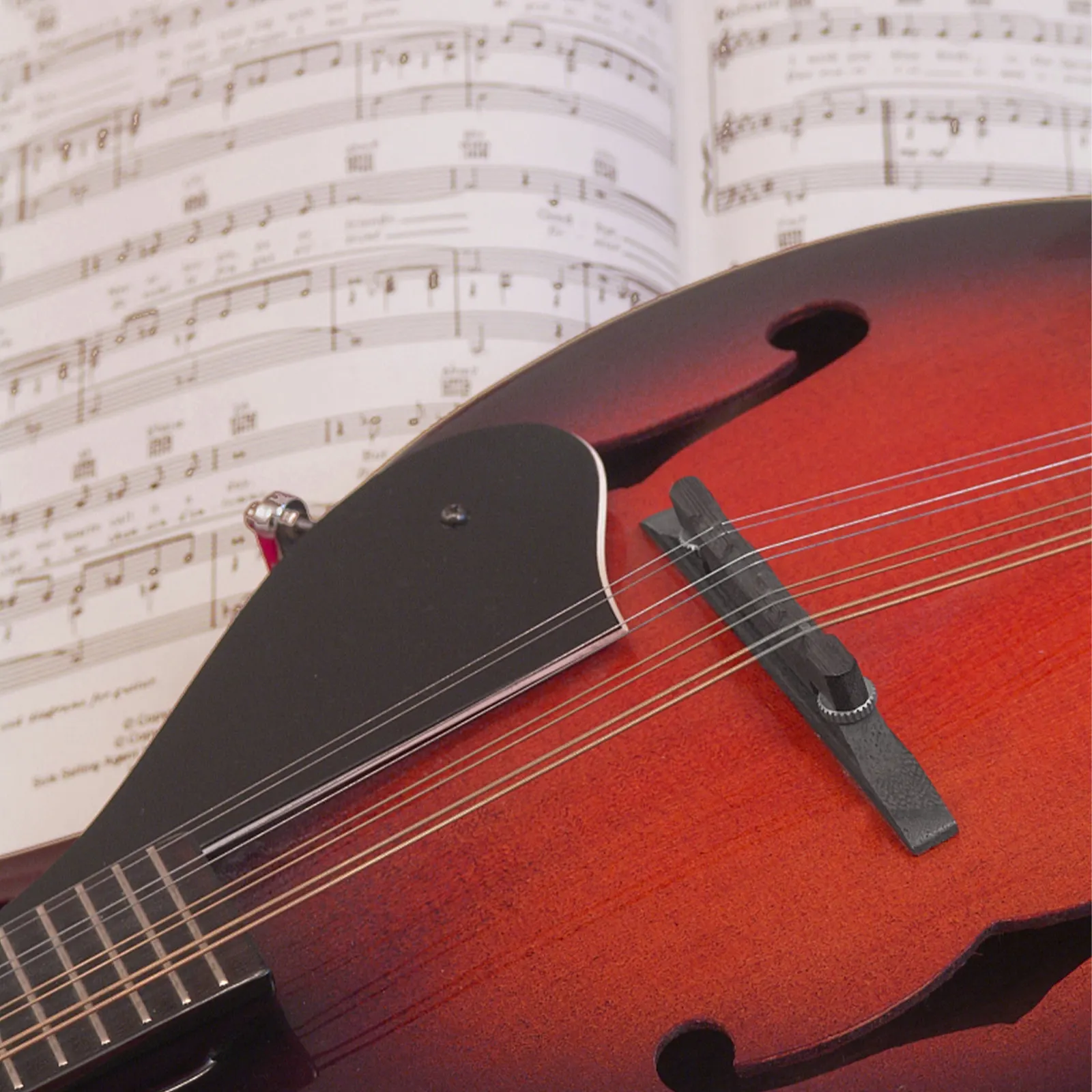 

Сменное седло для мандолины из цельного черного дерева: высокая прочность, резонансный и насыщенный звук, выраженная выразительность