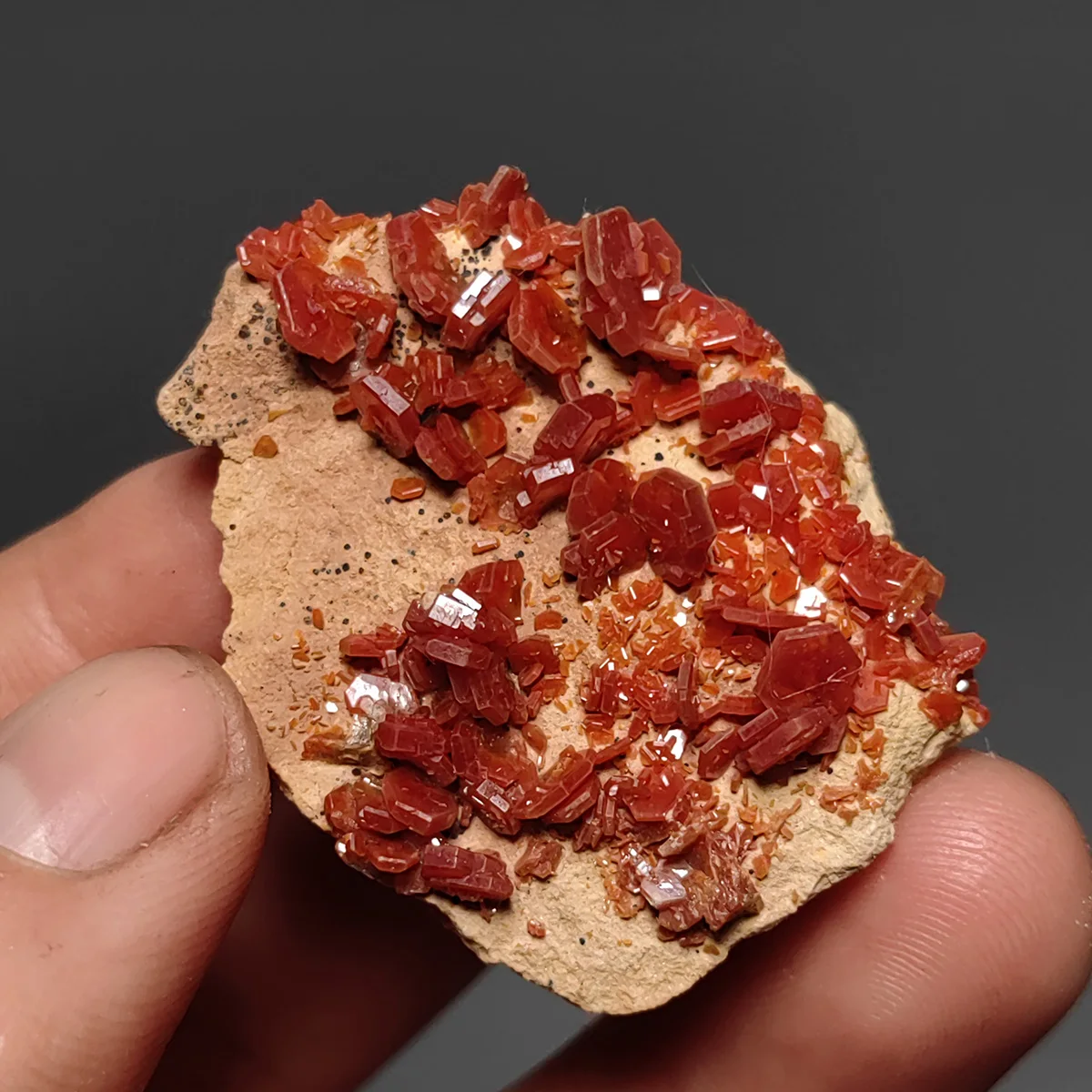 

C0-2A Natural Vanadinite Stones and Crystals Mineral Specimen Trinkets Home Decoratio Morocco Free Shipping