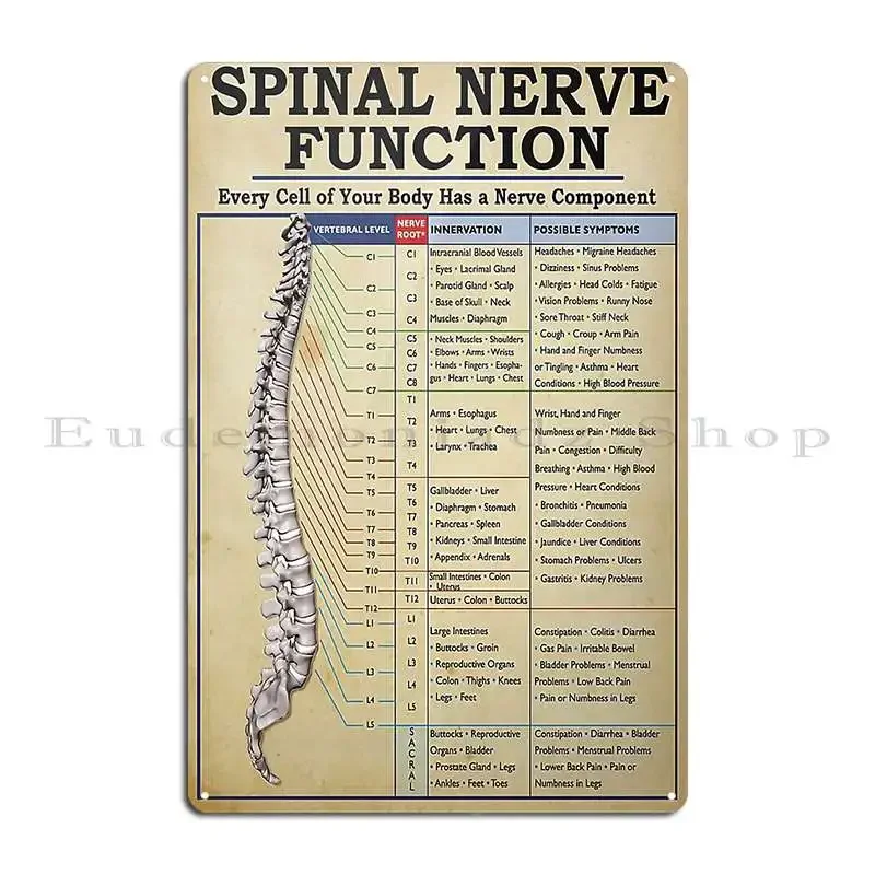 Spinal Nerve Function Poster Metal Plaque Designing Designing Customize Create Kitchen Tin Sign Poster