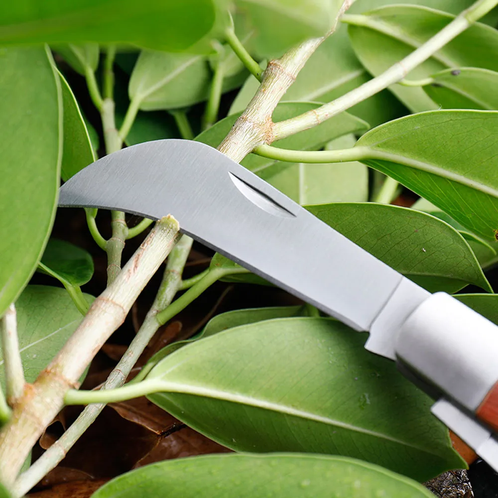 Garden Grafting Knife Stainless Steel Mushroom Electrician Folding Pocket Knife EDC Hand Tools Wooden Handle Camping Gadgets