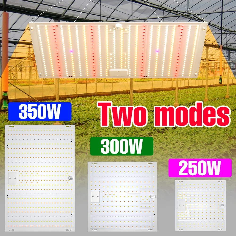 

Светодиодные фитолампы 350 Вт, полный спектр, для теплиц, гроубоксов, выращивания цветов и овощей в горшках, освещение для культивации