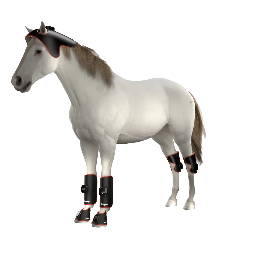 LED Horse Joint Pad Red Infrared Light Therapy Pain Relief Horse Wrap